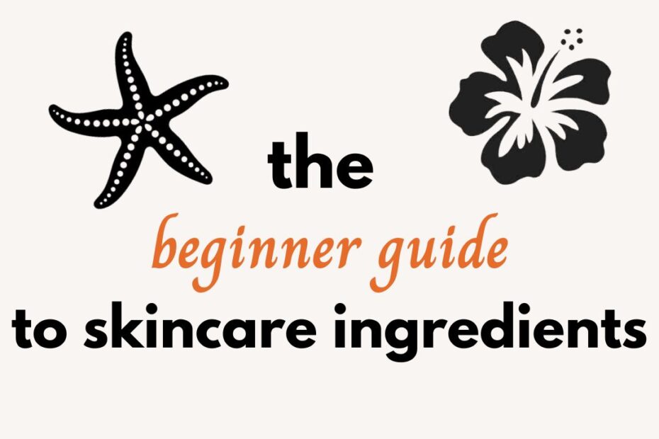 beginner guide blog cover